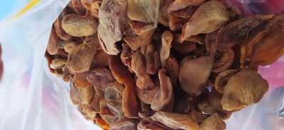 فروش زردآلو خشک