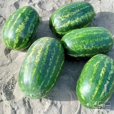 فروش هندوانه