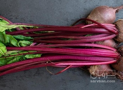 فروش چغندر لبو