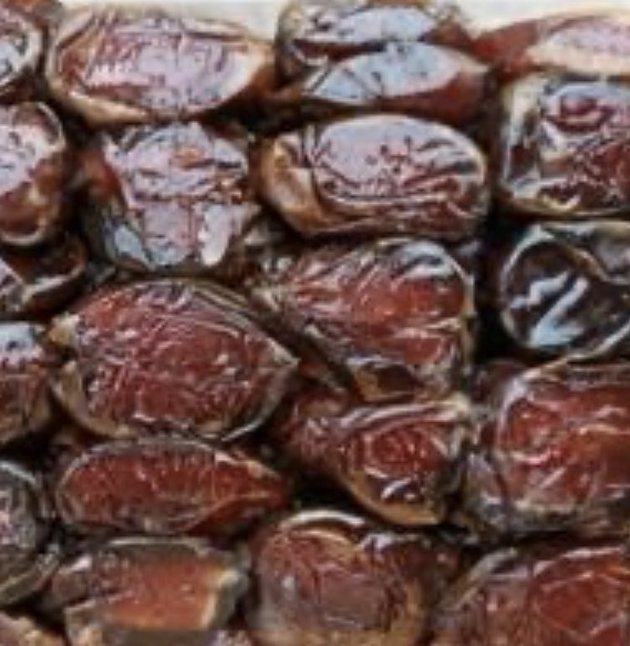 فروش خرما کبکاب