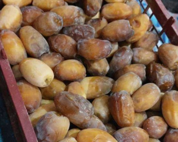 فروش رطب کبکاب