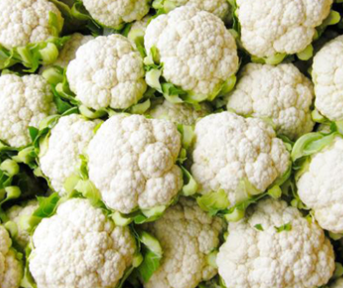 فروش گل کلم