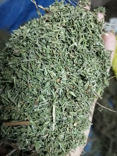 فروش برگ آویشن