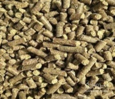 فروش کنجاله  کلزا