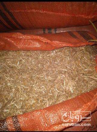 فروش کاه و کلش گندم