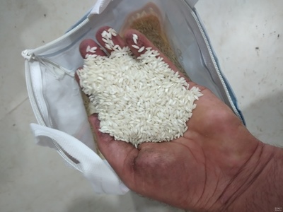 فروش برنج عنبر بو