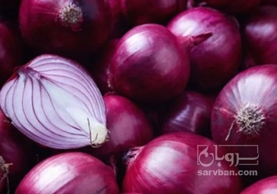 فروش پیاز قرمز