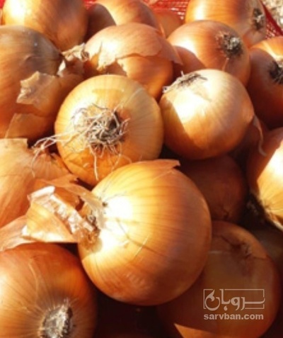 فروش پیاز زرد