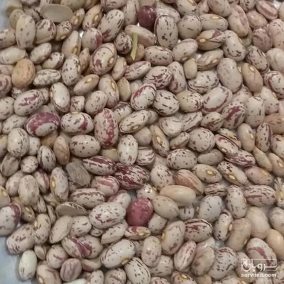 فروش لوبیا چیتی
