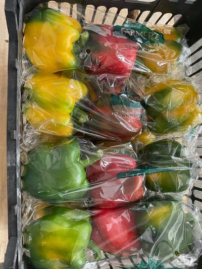 فروش فلفل دلمه ای رنگی