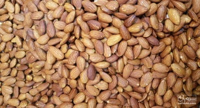 فروش بادام
