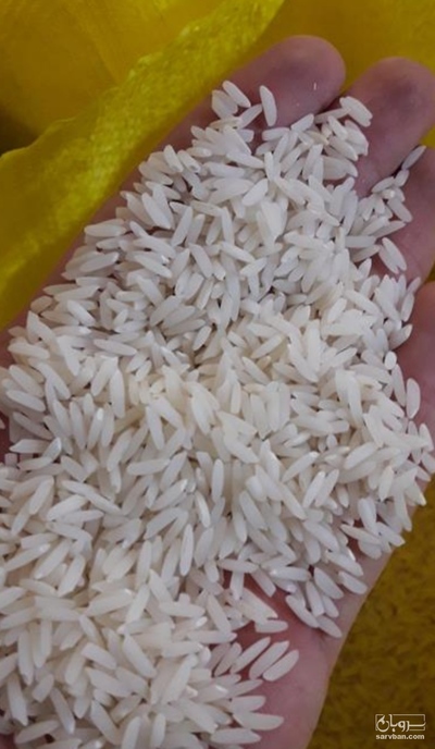 فروش برنج