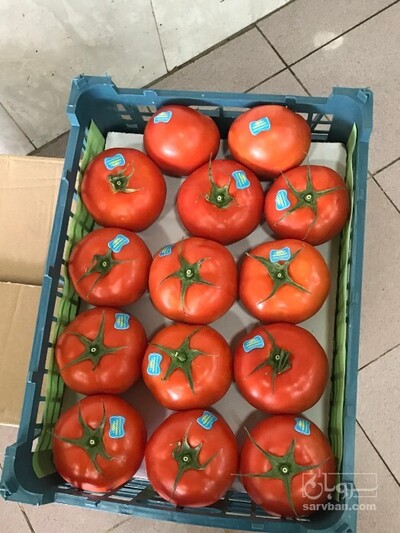 فروش گوجه فرنگی