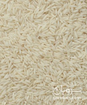 فروش برنج