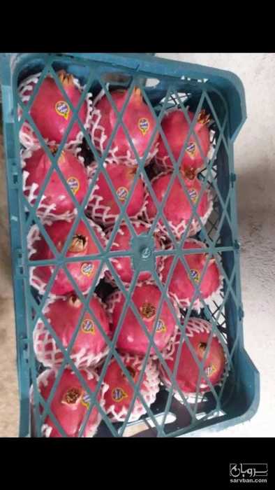 فروش انار