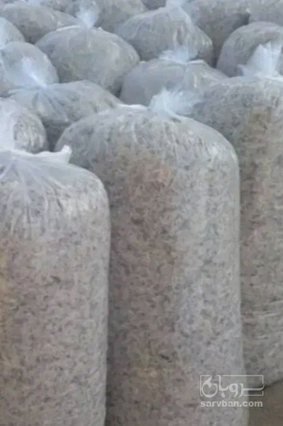 فروش تفاله چغندر خشک