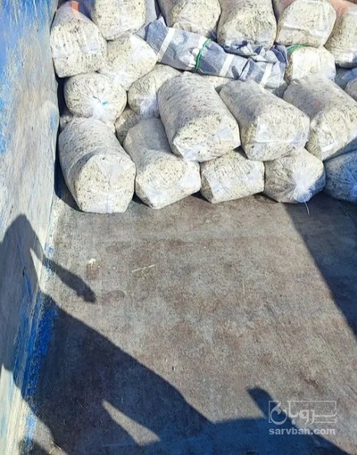 فروش تفاله چغندر تر