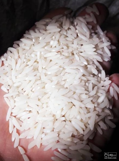 فروش برنج