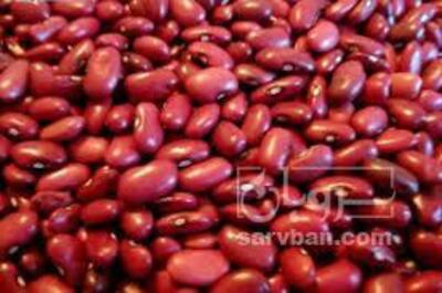 فروش لوبیا قرمز