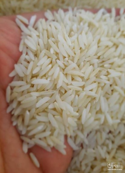 فروش برنج