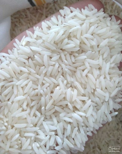 فروش برنج