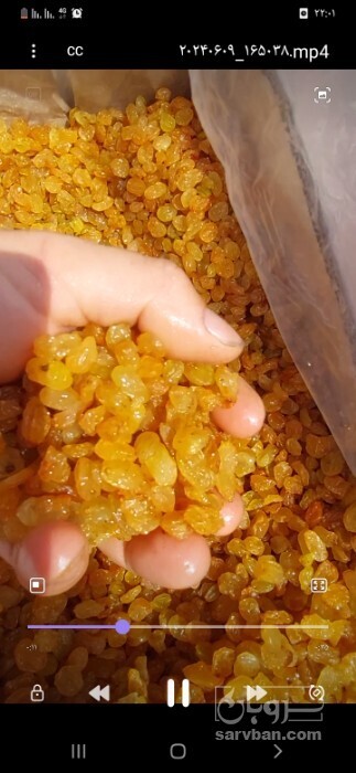 فروش کشمش