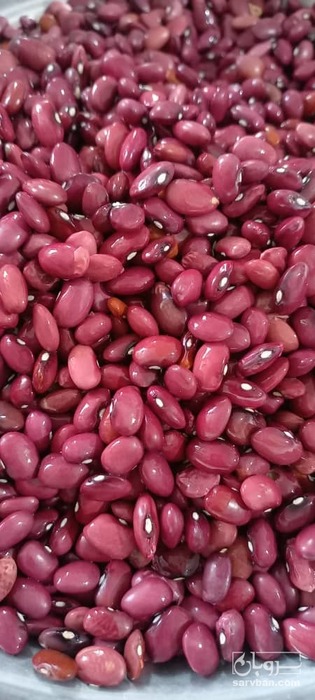 فروش لوبیا قرمز