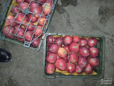 فروش سیب قرمز