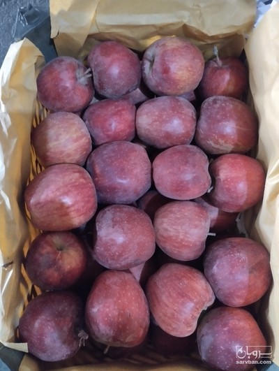 فروش سیب قرمز