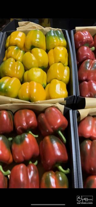 فروش فلفل دلمه ای