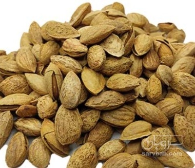 فروش بادام