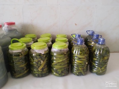 فروش خیار شور