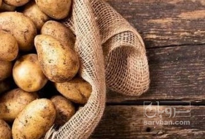 فروش سیب زمینی اگریا