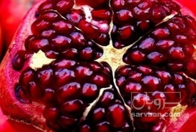 فروش انار