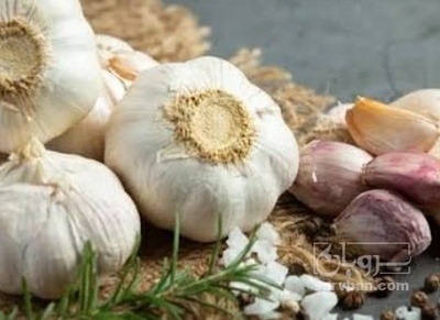 فروش سیر