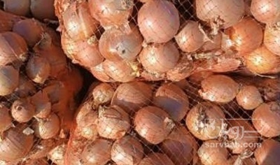 فروش پیاز زرد