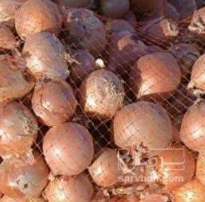 فروش پیاز زرد طلایی