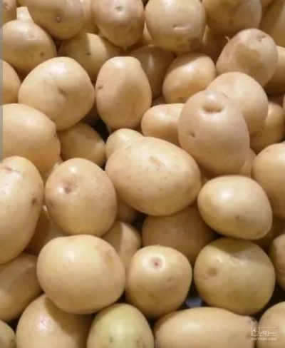 فروش سیب زمینی جلی