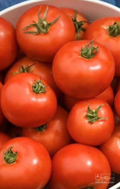 فروش گوجه فرنگی