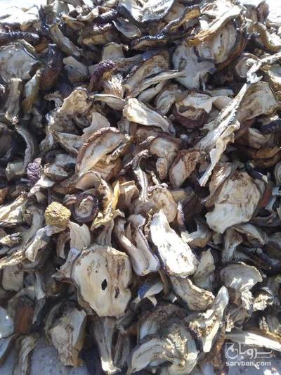 فروش بادمجان خشک شده