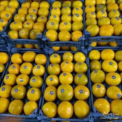 فروش گریپ فوروت