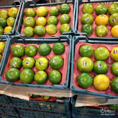 فروش نارنگی