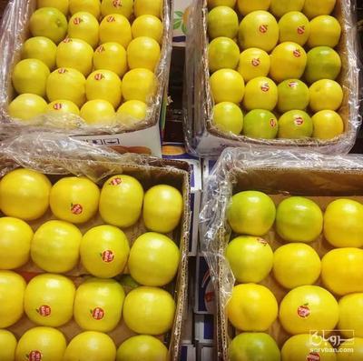 فروش لیمو شیرین