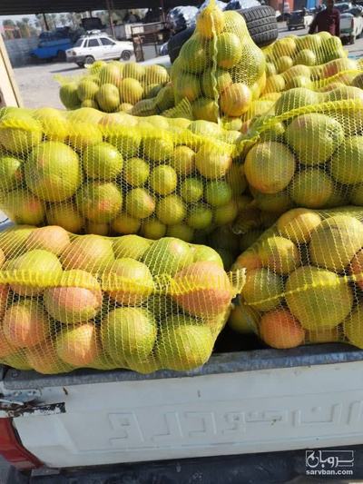 فروش گریپ فوروت