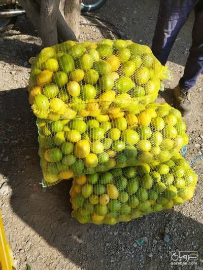 فروش لیموترش