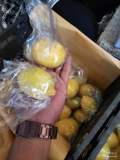 فروش لیموترش سنگی