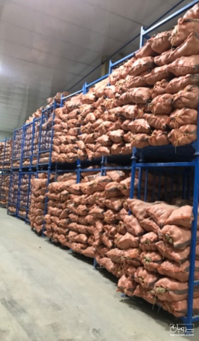 فروش سیب زمینی