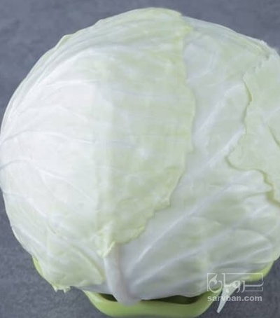 فروش کلم برگی