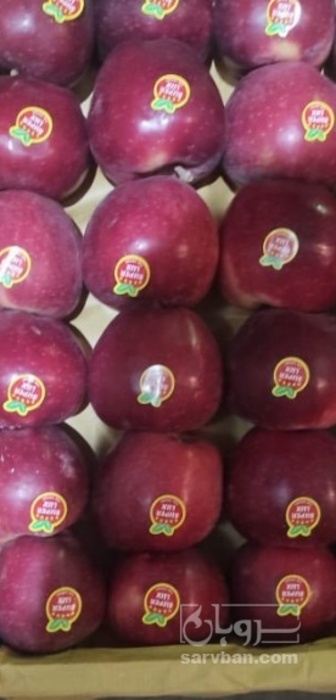 فروش سیب قرمز