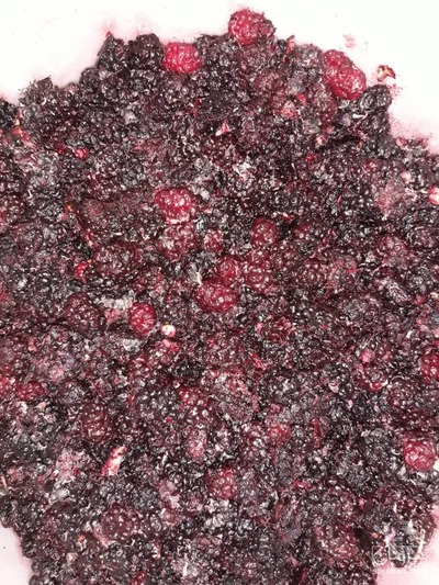 فروش شاتوت منجمد